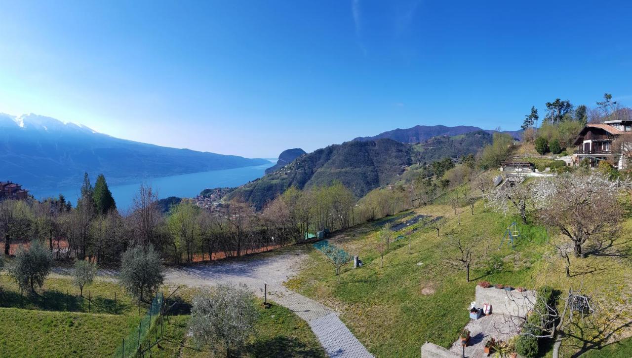 Teresa Campi Apartments Lake View By Gardadomusmea Tremosine Zewnętrze zdjęcie